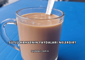 Sütlü Kahvenin Faydaları Nelerdir?