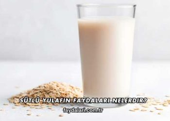 Sütlü Yulafın Faydaları Nelerdir?