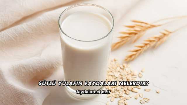Sütlü Yulafın Faydaları Nelerdir?
