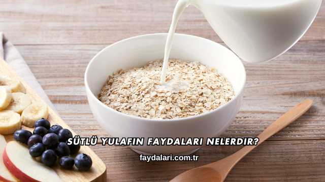 Sütlü Yulafın Faydaları Nelerdir?