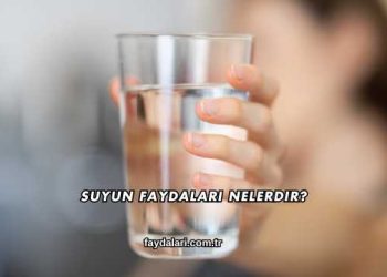 Suyun Faydaları Nelerdir?