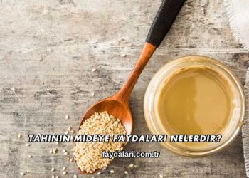 Tahinin Mideye Faydaları Nelerdir?