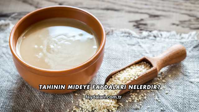 Tahinin Mideye Faydaları Nelerdir?