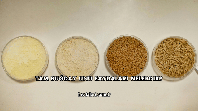 Tam Buğday Unu Faydaları Nelerdir?