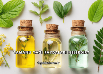 Tamanu Yağı Faydaları Nelerdir?