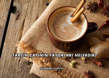 Tarçın Çayının Faydaları Nelerdir?