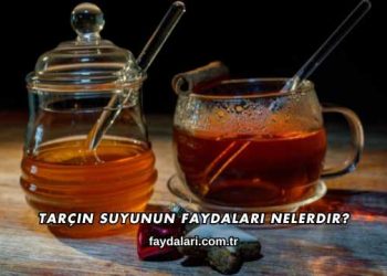 Tarçın Suyunun Faydaları Nelerdir