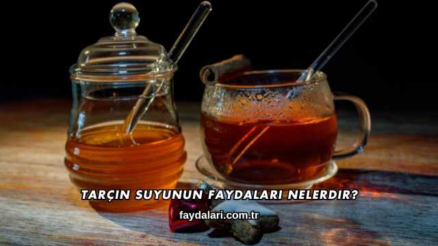 Tarçın Suyunun Faydaları Nelerdir