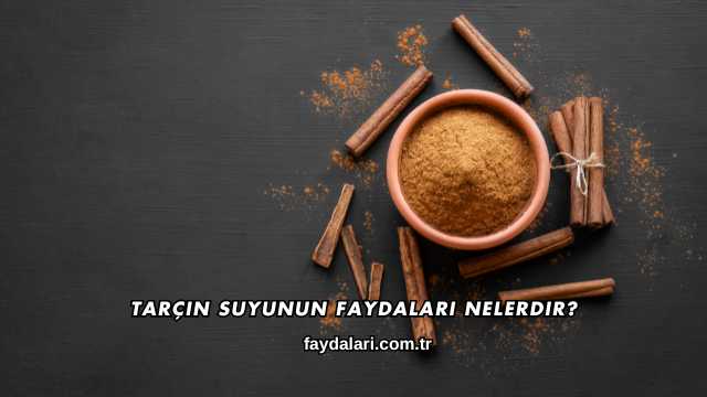 Tarçın Suyunun Faydaları Nelerdir