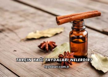 Tarçın Yağı Faydaları Nelerdir?