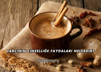 Tarçının Cinselliğe Faydaları Nelerdir?