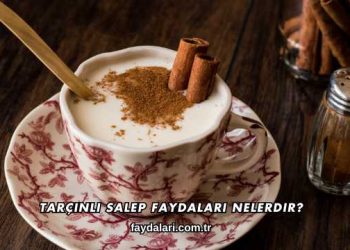 Tarçınlı Salep Faydaları Nelerdir?