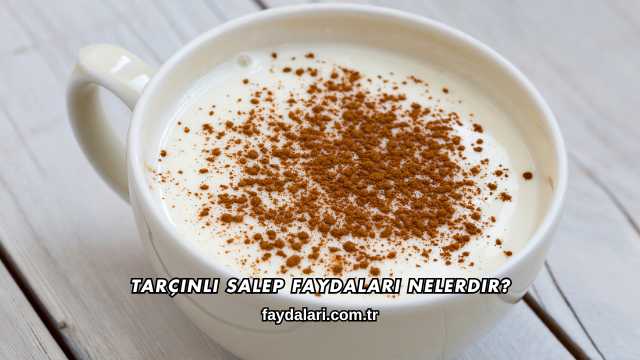 Tarçınlı Salep Faydaları Nelerdir?