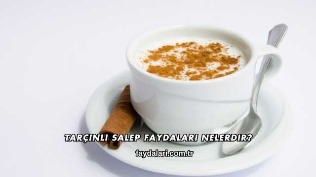 Tarçınlı Salep Faydaları Nelerdir?