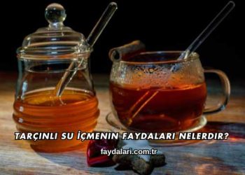 Tarçınlı Su İçmenin Faydaları Nelerdir?