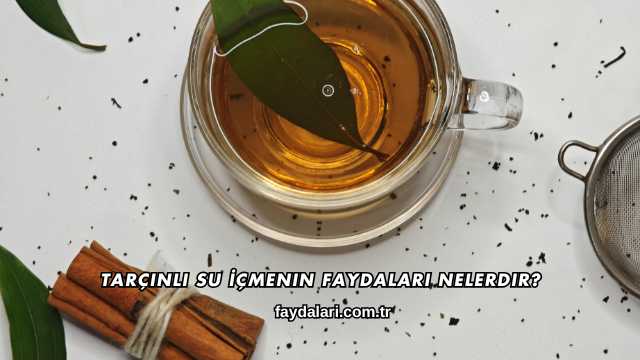 Tarçınlı Su İçmenin Faydaları Nelerdir?