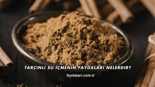 Tarçınlı Su İçmenin Faydaları Nelerdir?