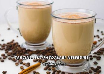 Tarçınlı Süt Faydaları Nelerdir?