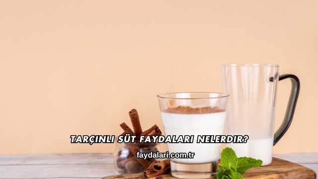 Tarçınlı Süt Faydaları Nelerdir?