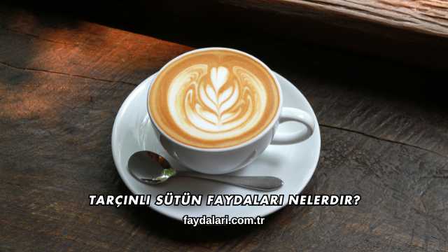 Tarçınlı Sütün Faydaları Nelerdir?