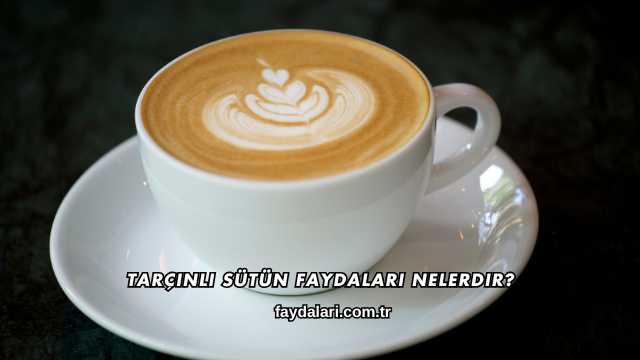 Tarçınlı Sütün Faydaları Nelerdir?