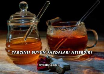 Tarçınlı Suyun Faydaları Nelerdir?