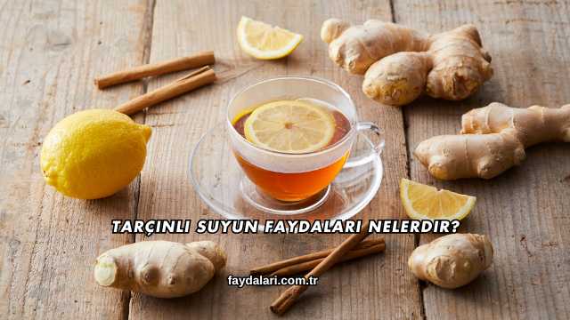 Tarçınlı Suyun Faydaları Nelerdir?