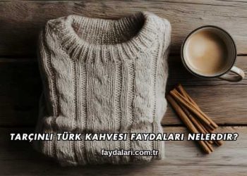 Tarçınlı Türk Kahvesi Faydaları Nelerdir?