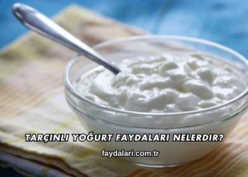 Tarçınlı Yoğurt Faydaları Nelerdir?