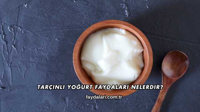 Tarçınlı Yoğurt Faydaları Nelerdir?