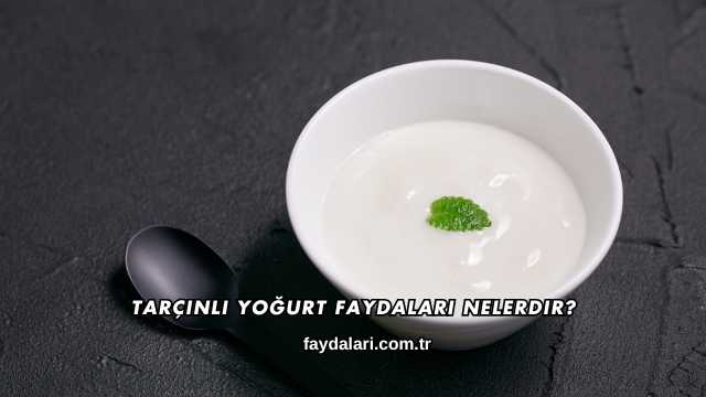 Tarçınlı Yoğurt Faydaları Nelerdir?