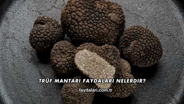 Trüf Mantarı Faydaları Nelerdir?