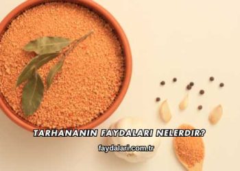 Tarhananın Faydaları Nelerdir?