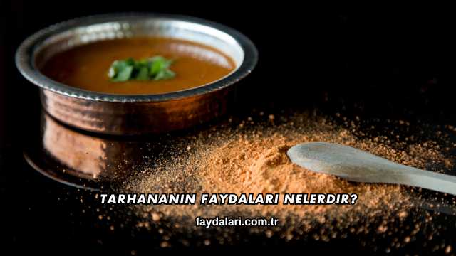 Tarhananın Faydaları Nelerdir?
