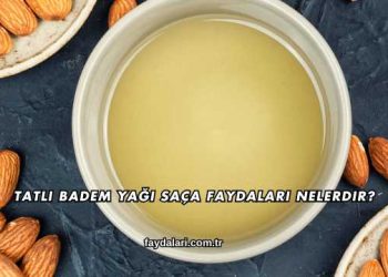 Tatlı Badem Yağı Saça Faydaları Nelerdir?