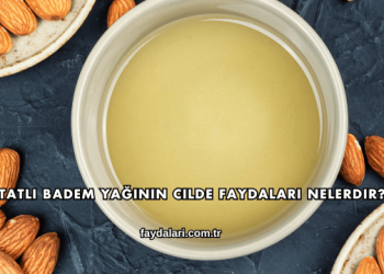 Tatlı Badem Yağının Cilde Faydaları Nelerdir?