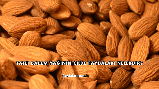 Tatlı Badem Yağının Cilde Faydaları Nelerdir?