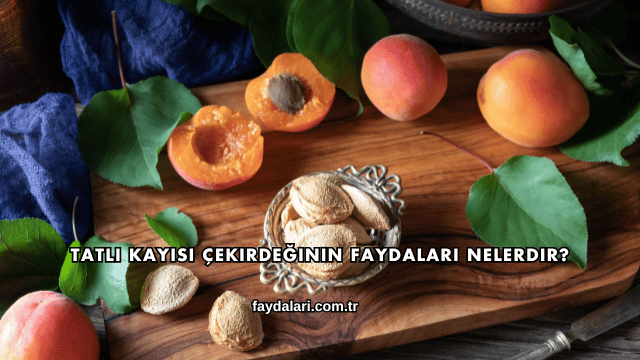 Tatlı Kayısı Çekirdeğinin Faydaları Nelerdir?