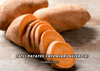 Tatlı Patates Faydaları Nelerdir?