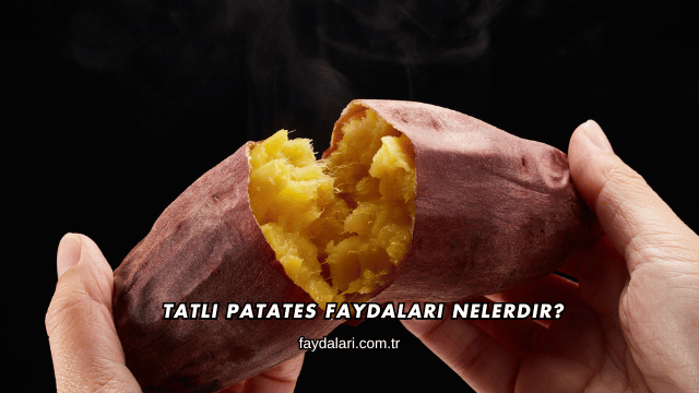 Tatlı Patates Faydaları Nelerdir?