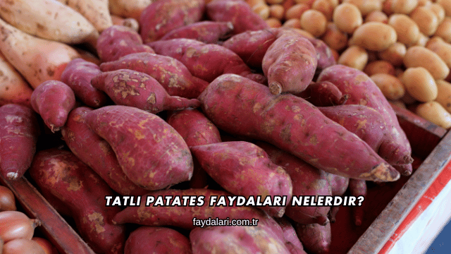 Tatlı Patates Faydaları Nelerdir?