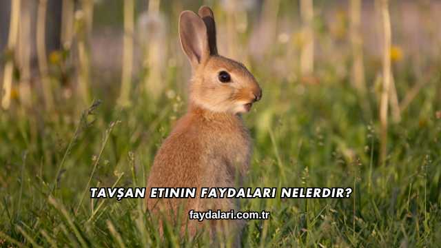 Tavşan Etinin Faydaları Nelerdir?
