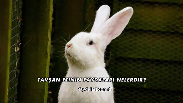 Tavşan Etinin Faydaları Nelerdir?