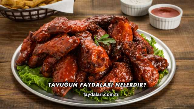 Tavuğun Faydaları Nelerdir?