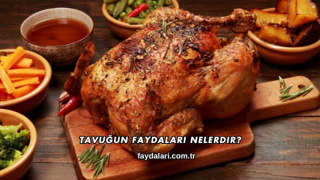 Tavuğun Faydaları Nelerdir?