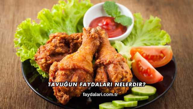 Tavuğun Faydaları Nelerdir?