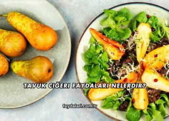 Tavuk Ciğeri Faydaları Nelerdir?