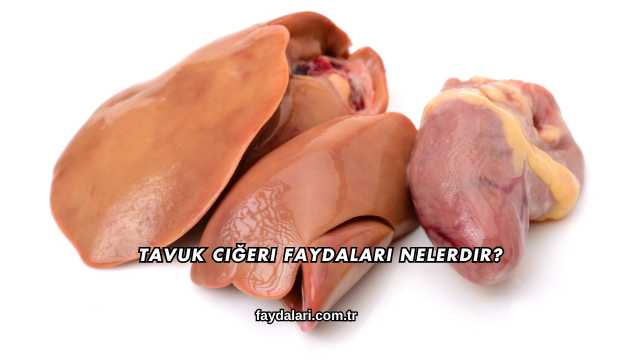 Tavuk Ciğeri Faydaları Nelerdir?