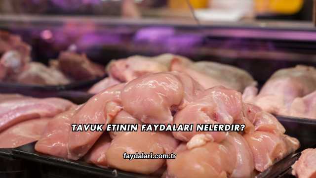 Tavuk Etinin Faydaları Nelerdir?