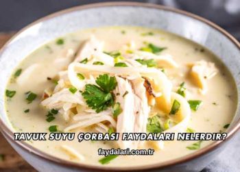 Tavuk Suyu Çorbası Faydaları Nelerdir?